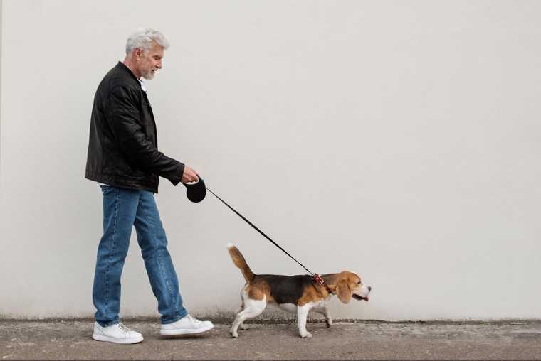 como entrenar a un perro sordo