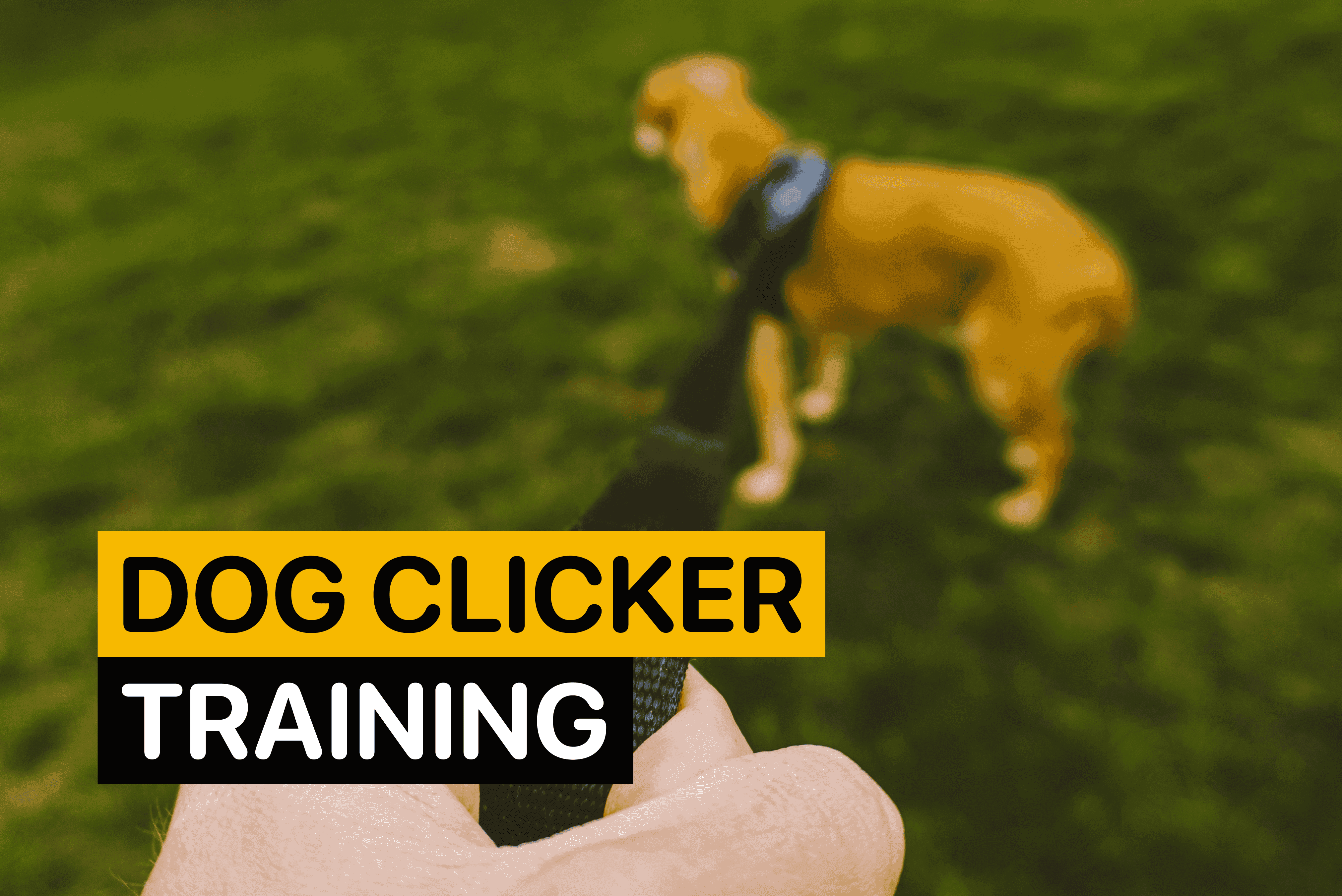 dog clicker training