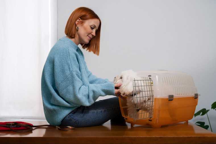 como educar un perro cachorro para ir al baño