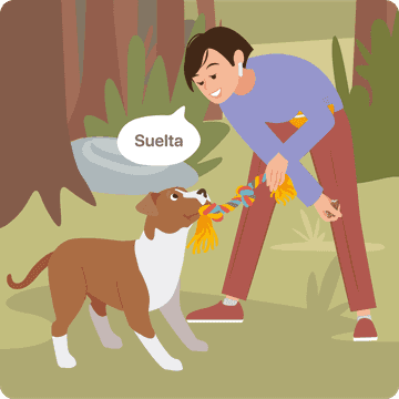 señales lenguaje canino