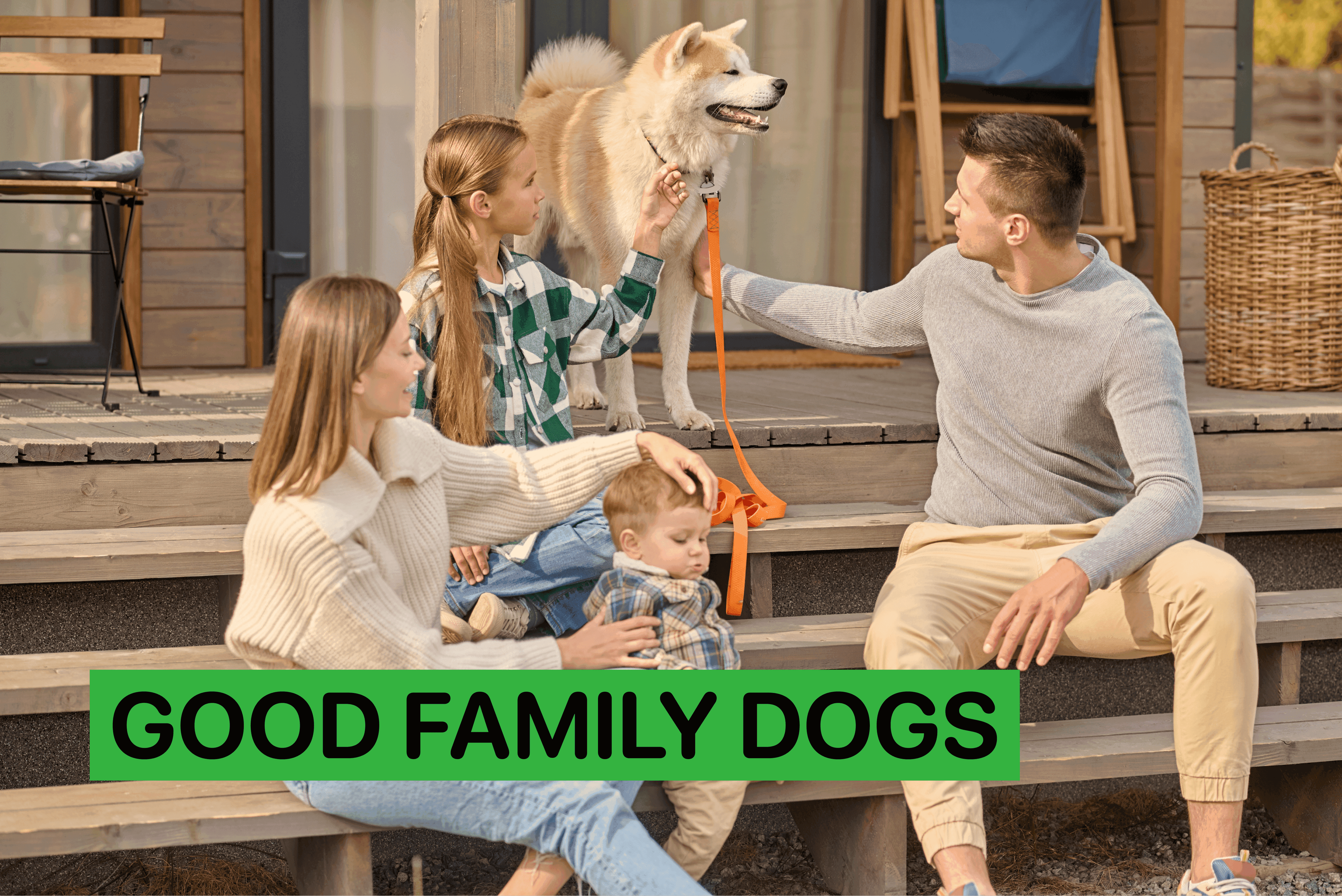 good family dogs