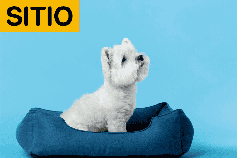 comandos ordenes para perros