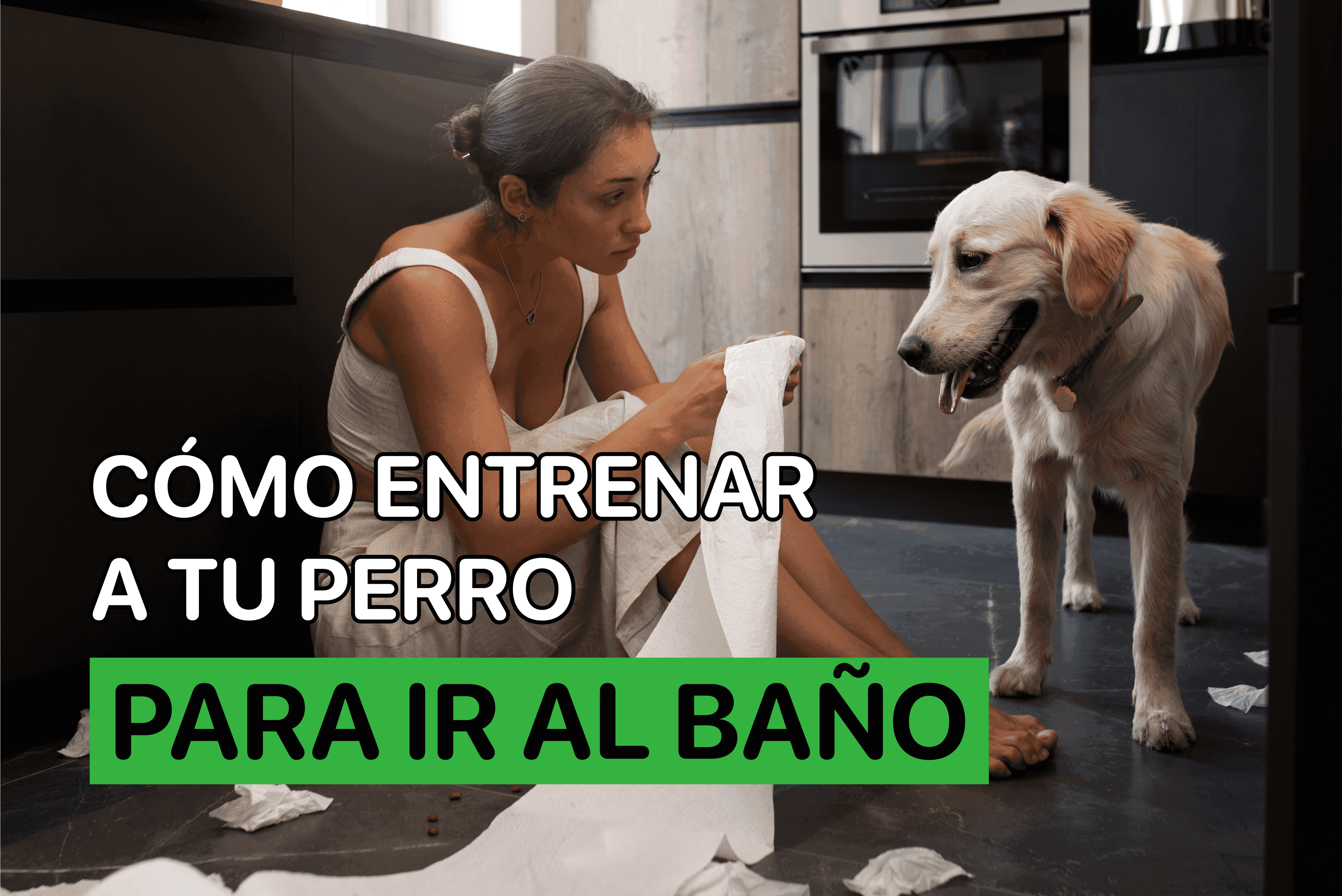 Cómo Entrenar A Tu Perro Para Ir Al Baño