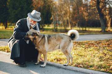 calming music for dogs