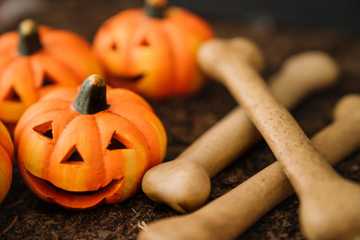 pumpkin good for dogs