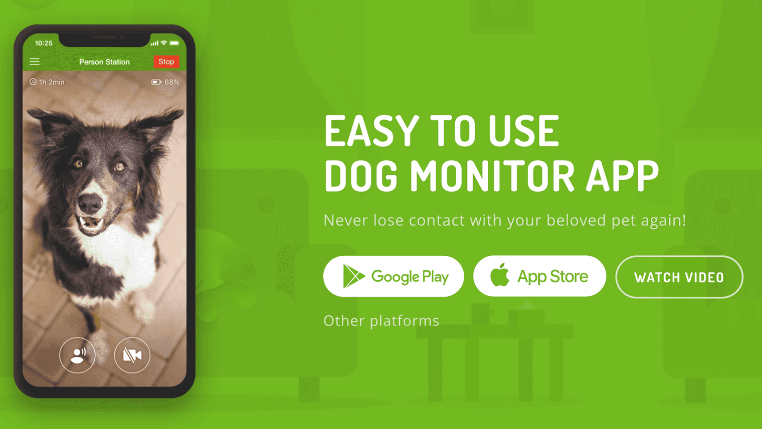 6 Best Dog Health Tracker Apps 2025 Guide