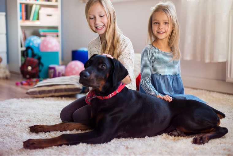 miedo a los perros en niños