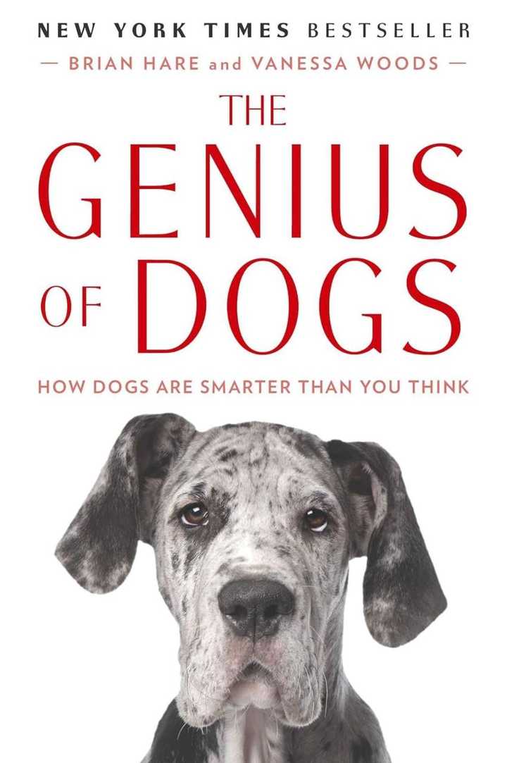 11 Top Dog Training Books for Every Kind of Dog