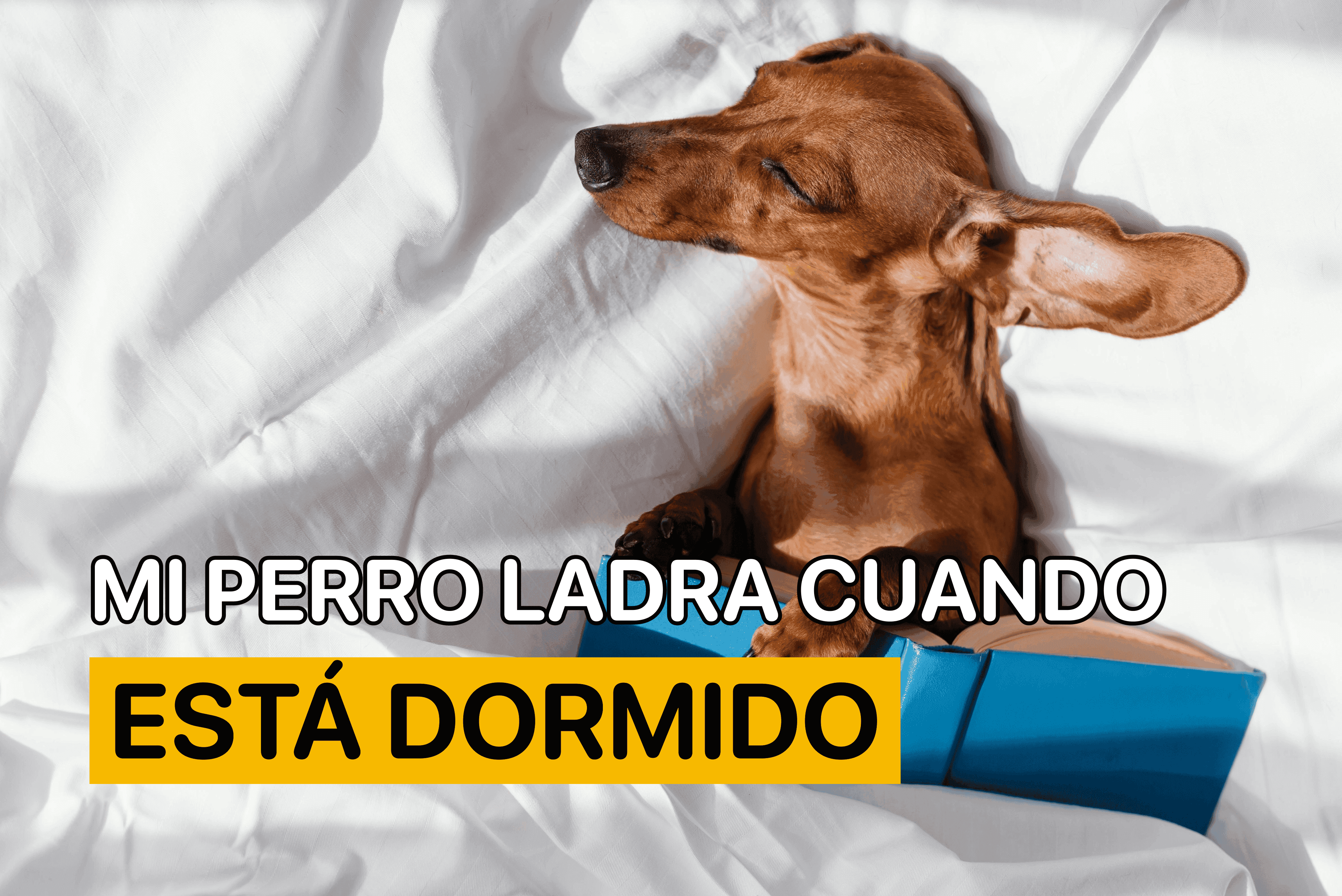 mi perro ladra dormido