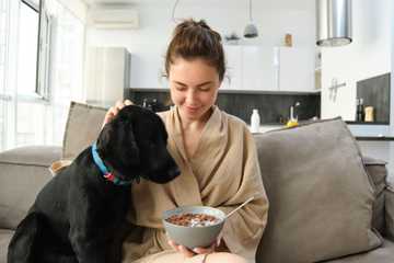 stop dogs from begging for food