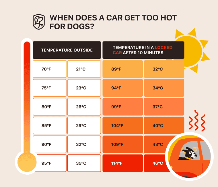 dog car temperature chart
