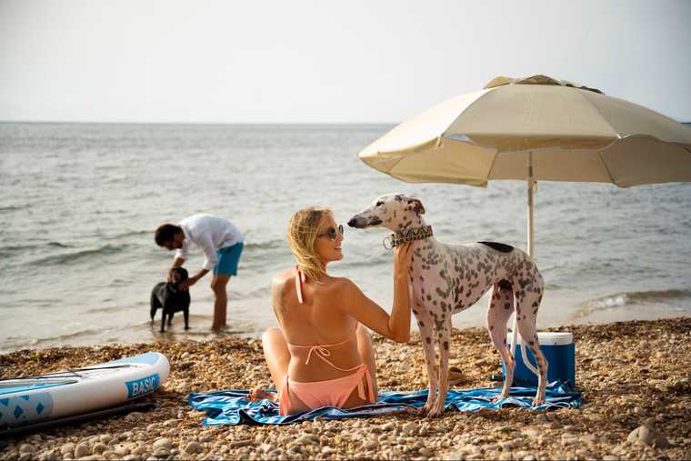 cooling for dogs in summer