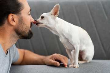 what does it mean when a dog licks you