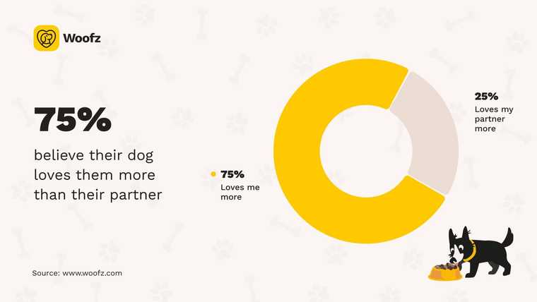 Woofz donut chart on dog loyalty. 75% of dog owners believe their dog loves them more than their partner, while 25% think the dog loves their partner more. An illustrated dog eats from a bowl at the bottom right.