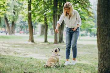 how long does it take to puppy train