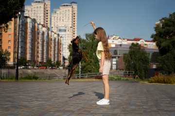 best tricks to teach your dog