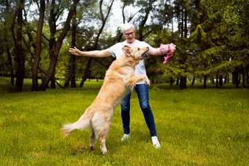 juegos inteligentes para perros