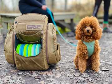 how to train your dog to be an emotional support dog