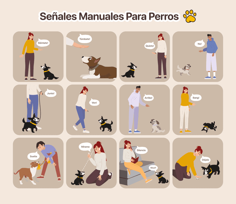 manual de adiestramiento canino