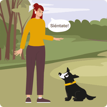 perro sentado