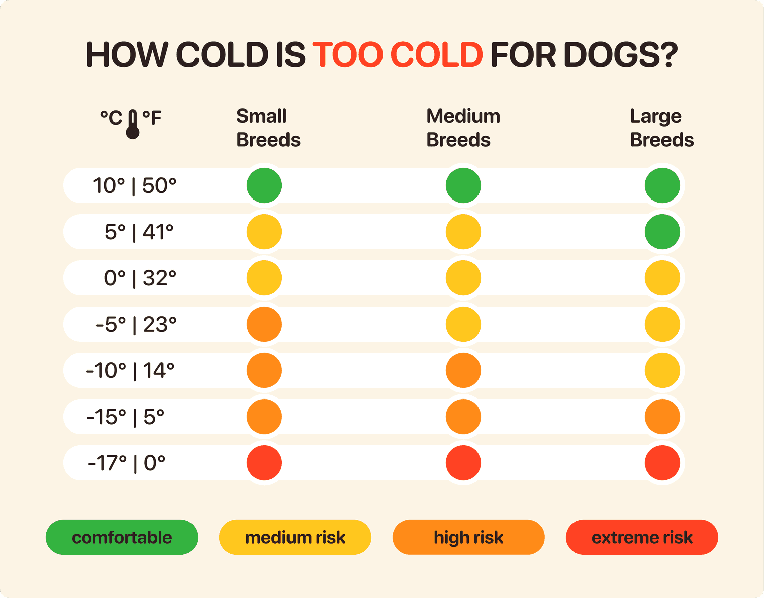 How Cold Is Too Cold for Dogs to Be Outside?