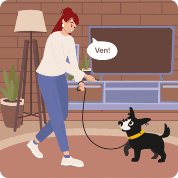 señales para perros