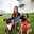 dog mental stimulation