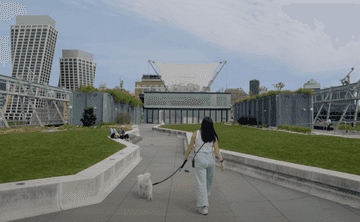 dog friendly vacations new york