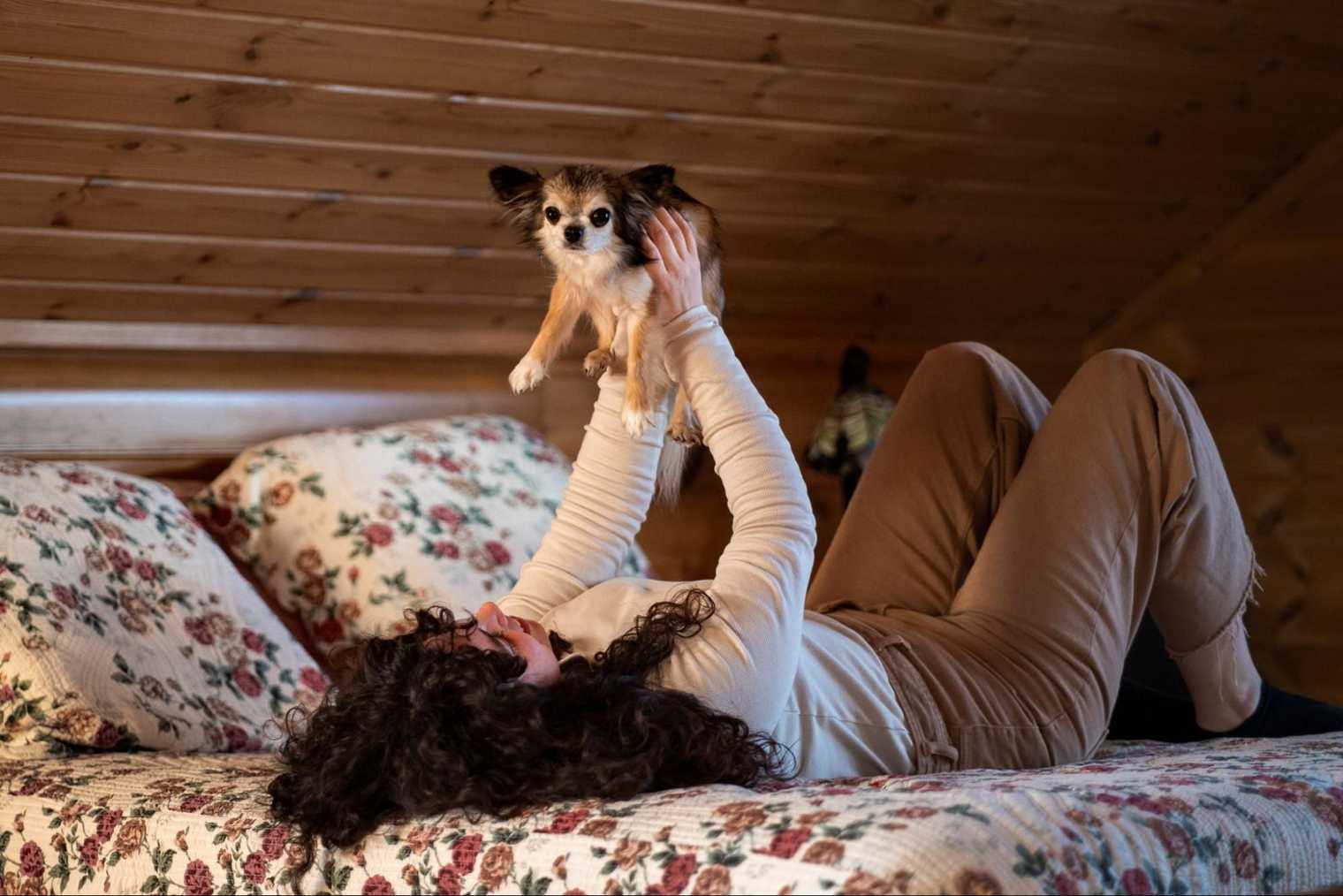 Dogs Bedtime Routine How to Train a Puppy: Schedule and Routine