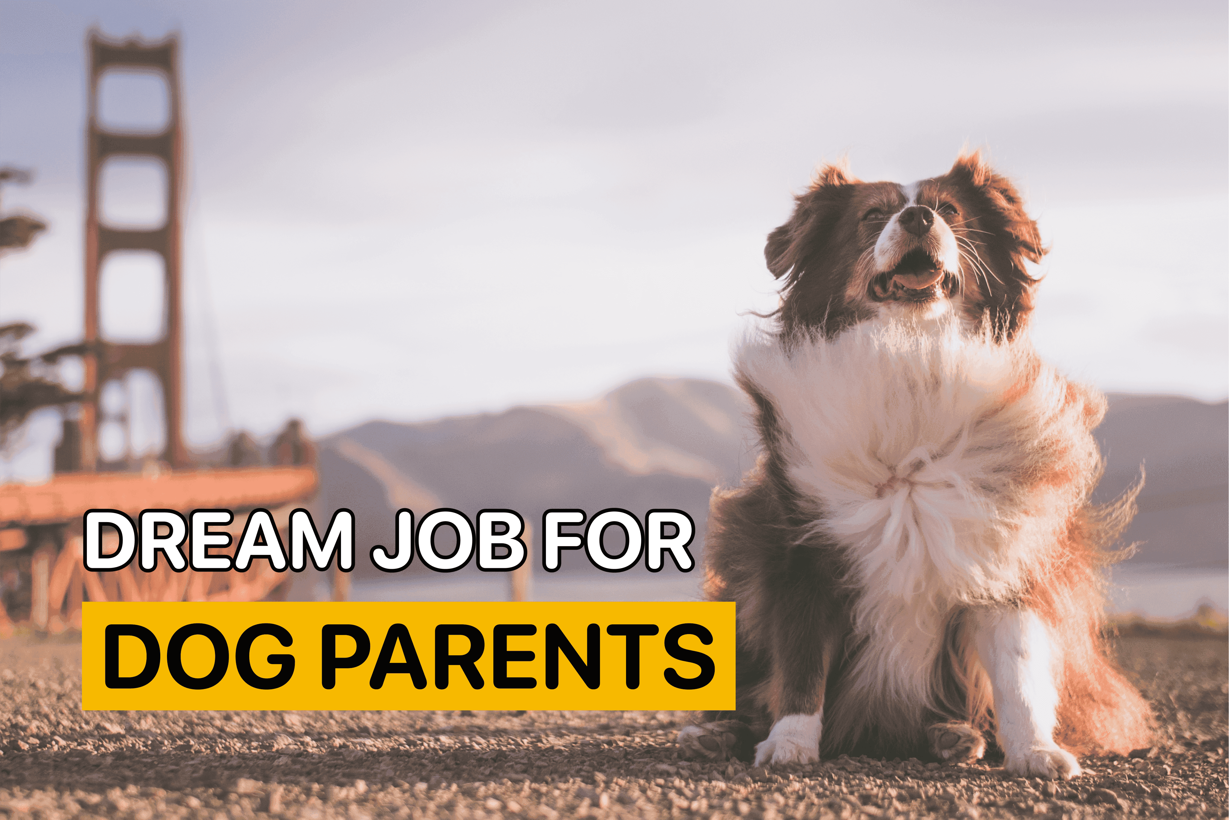 Dream Job for Dog Parents