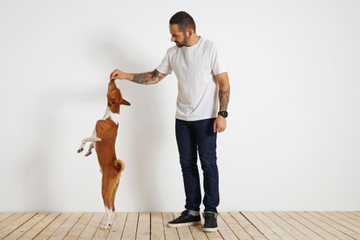 tricks to teach my dog