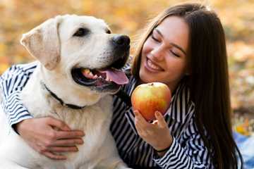 home remedies for stinky dog breath