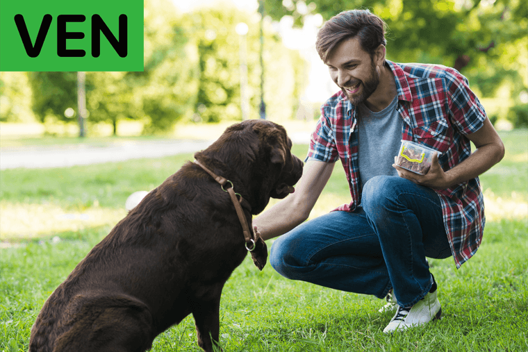 comandos para entrenar perros