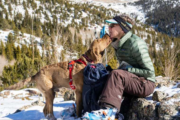 dog emotional support training