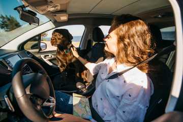 leaving your dog in the car