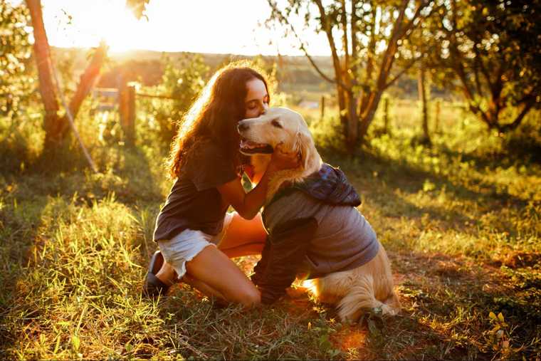 dog training emotional support