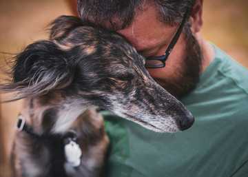 how to teach a dog its name