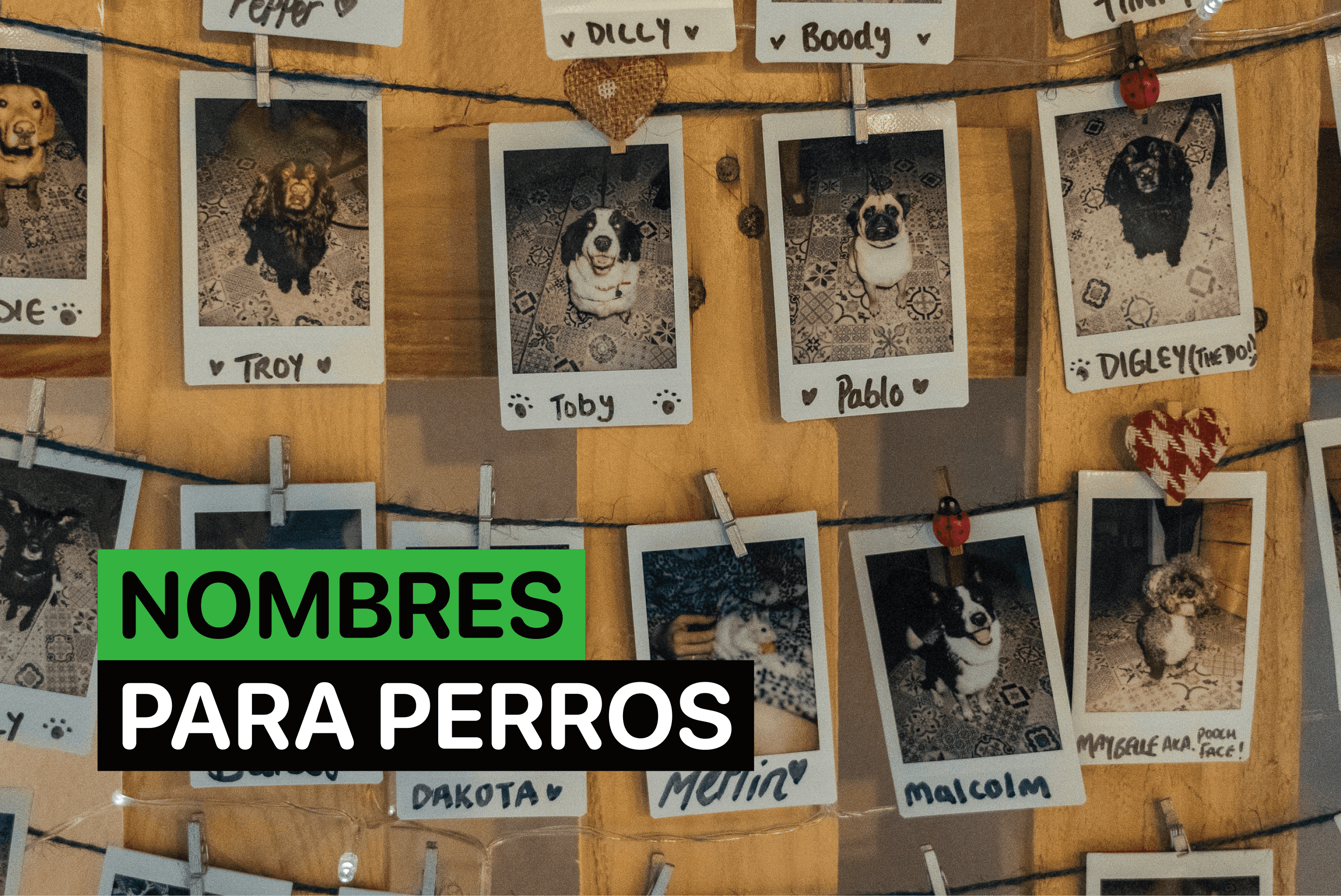 nombres de perro