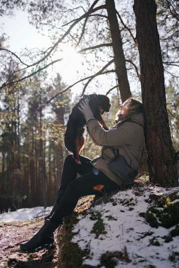 dog barking solutions