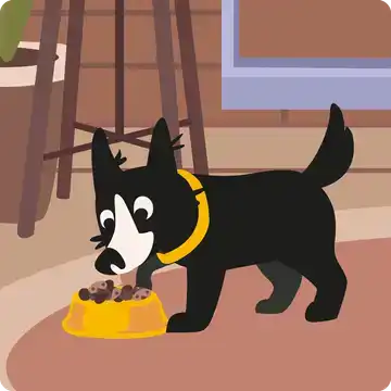 cantidad de comida para perros según peso
