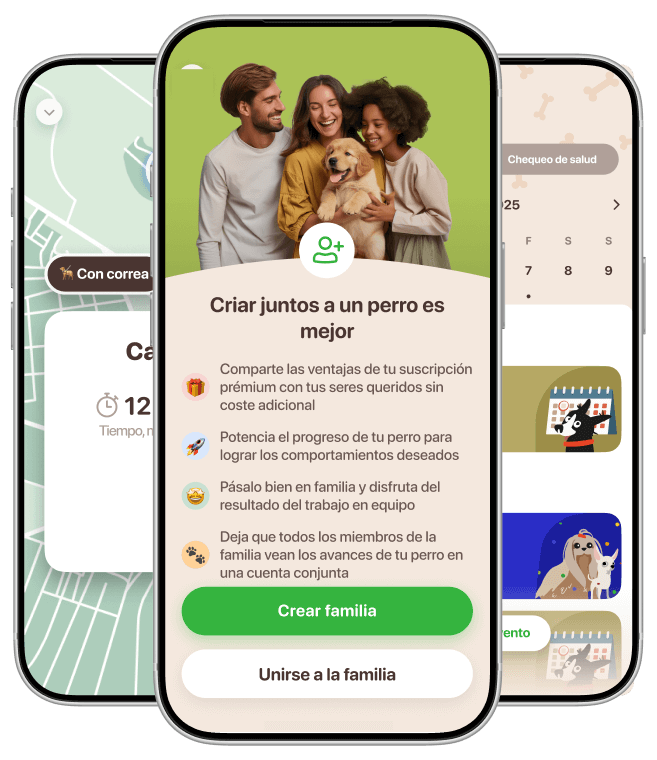 app adiestramiento canino