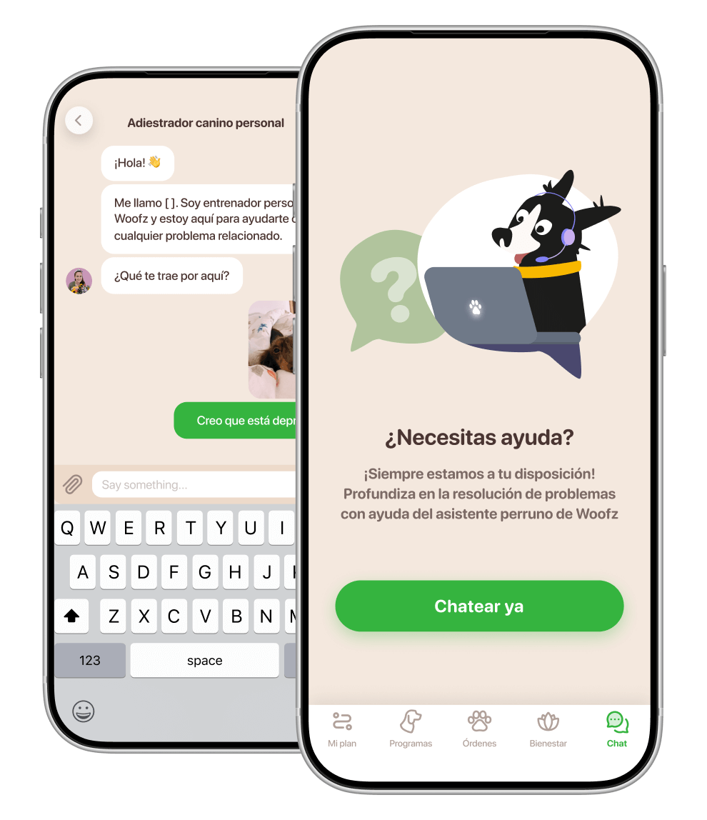 aplicaciones para perros